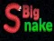 Big Snake