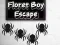 Floret Boy Escape