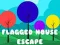 Flagged House Escape