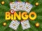 Bingo Revealed