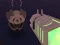 Hover Hunt