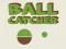 Ball Catcher