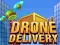 Drone Delivery