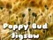 Poppy Bud Jigsaw