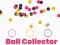 Circle Ball Collector
