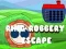 Ring Robbery Escpae