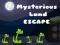 Mysterious Land Escape