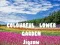 Colourful Flower Garden Jigsaw