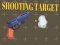 Shooting Target
