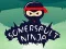 Somersault Ninja