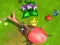 Insect Battle