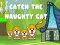 Catch the naughty cat