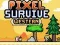 Pixel Survive Western