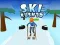 Ski Rush 3d