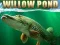 Willow Pond