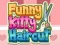 Funny Kitty Haircut