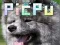 PicPu Dog