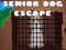 Senior Dog Escape