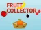 Fruit Collector