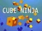 Cube Ninja