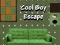 Cool Boy Escape