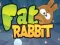 Fat Rabbit