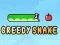 Greedy Snake