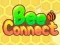 Bee Connect