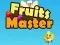 Fruits Master