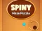 Spiny Maze Puzzle