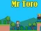 Mr Toro