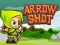 Arrow Shoot