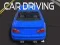 Car Driving