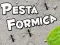 Pesta Formica
