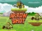 Arrow Shot