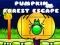 Pumpkin Forest Escape