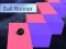Ball runner