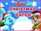 Nick Jr. Christmas Catch — free online game