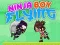 Ninja Boy Flying