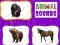 Animal Sounds