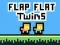 Flap Flat Twins