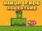 Ninja Frog Runner