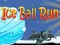 Ice Ball Run