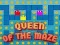 Queen of the Maze