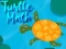 Turtle Math