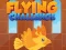 Flying Challenge