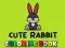 Cute Rabbit Coloring Book 