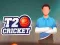 T20 Cricket