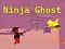 Ninja Ghost