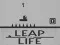 Leap of Life